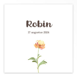 Gevouwen geboortekaart