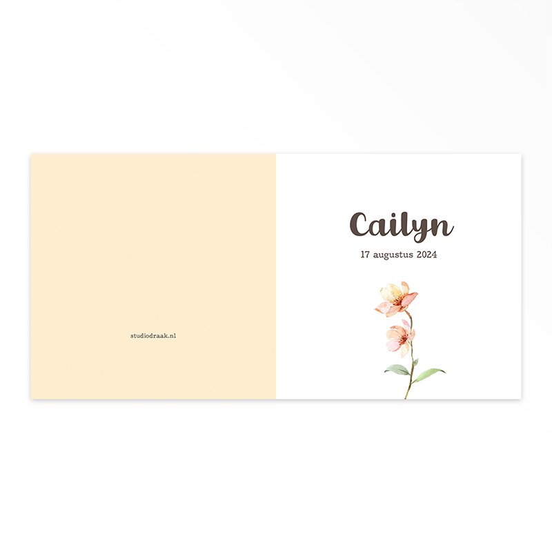 Gevouwen geboortekaart