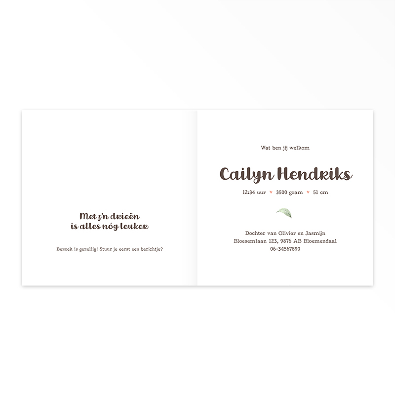 Gevouwen geboortekaart