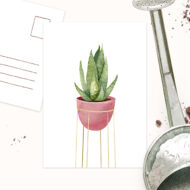 Kaart van Studio Draak