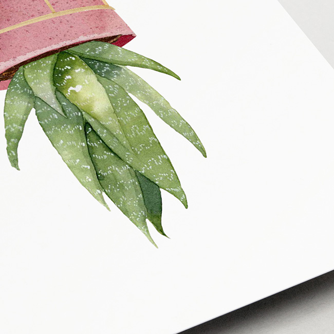 Kaart van Studio Draak