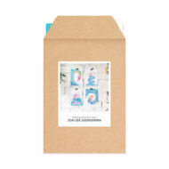 Kaartenset Studio Draak