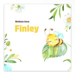 Gevouwen geboortekaartje