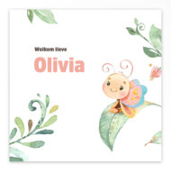 Gevouwen geboortekaartje