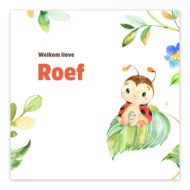 Gevouwen geboortekaartje