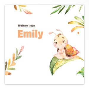 Gevouwen geboortekaartje