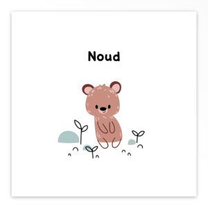 Gevouwen geboortekaartjes