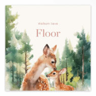 Gevouwen geboortekaartje van Studio Draak