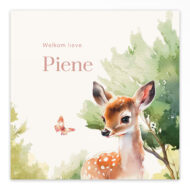 Gevouwen geboortekaartje van Studio Draak