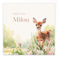 Gevouwen geboortekaartje van Studio Draak