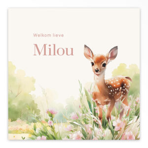 Gevouwen geboortekaartje van Studio Draak