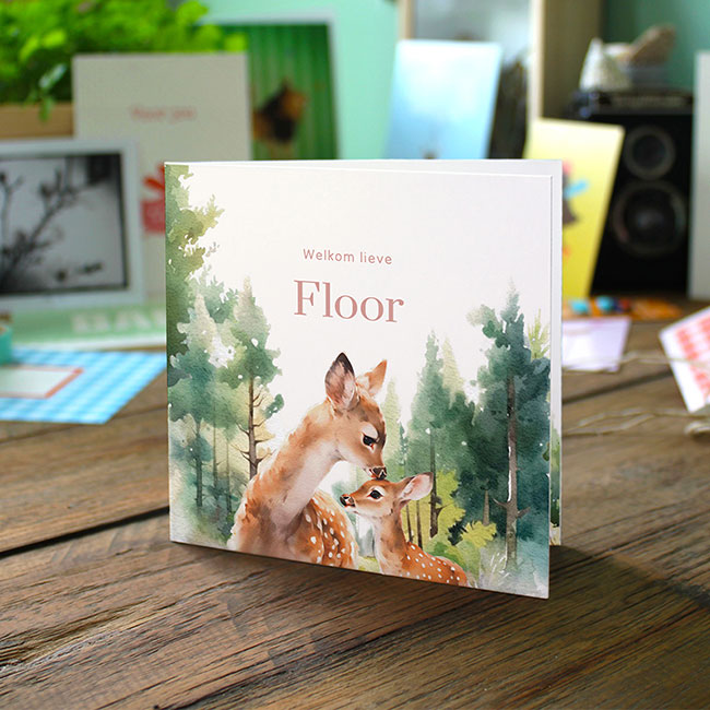 Gevouwen geboortekaartje van Studio Draak