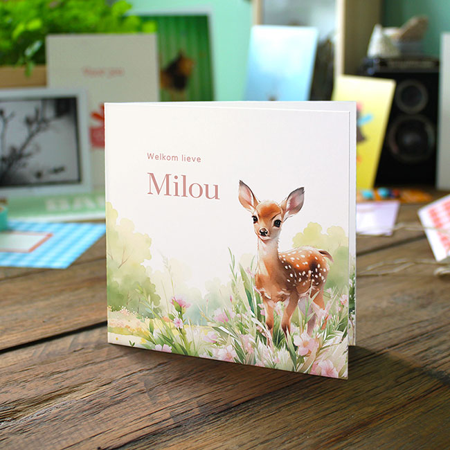 Gevouwen geboortekaartje van Studio Draak