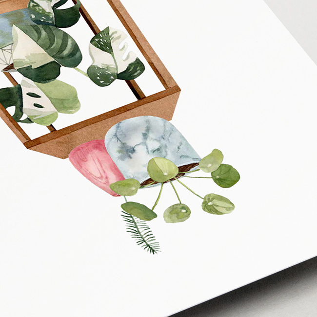 Kaart van Studio Draak