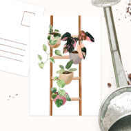 Kaart van Studio Draak