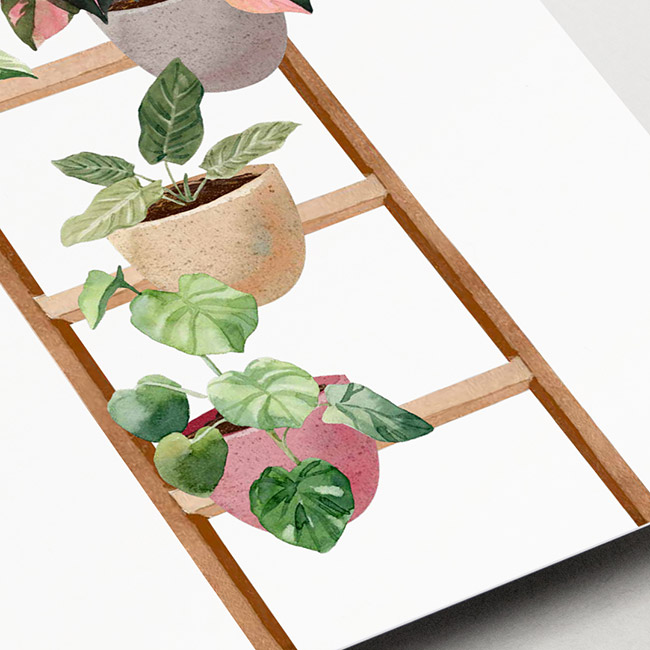 Kaart van Studio Draak