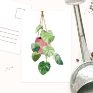 Kaart van Studio Draak