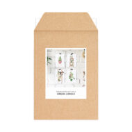 Kaartenset van Studio Draak