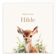 Gevouwen geboortekaartje