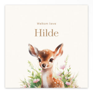 Gevouwen geboortekaartje