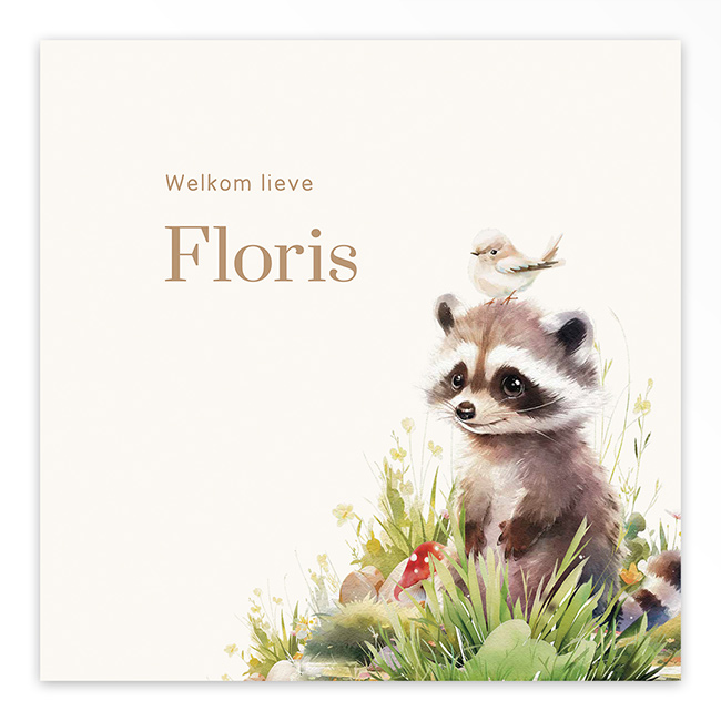 Gevouwen geboortekaartje