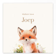 Gevouwen geboortekaartje