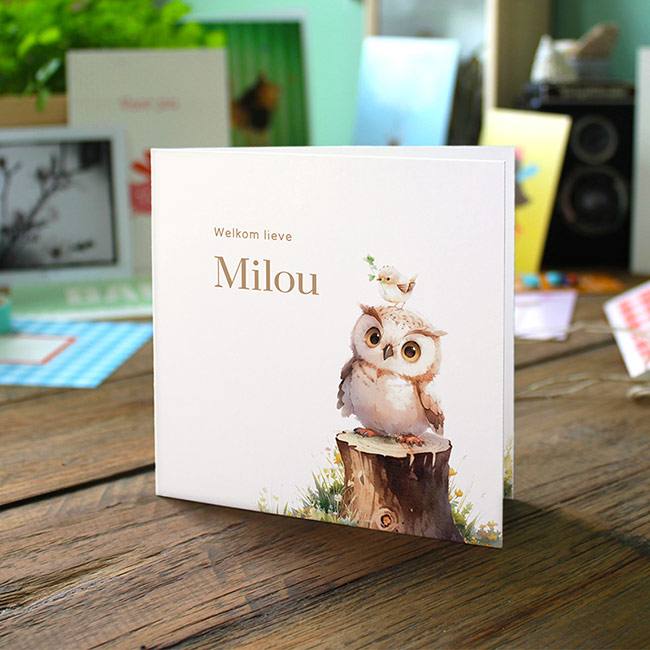 Gevouwen geboortekaartje