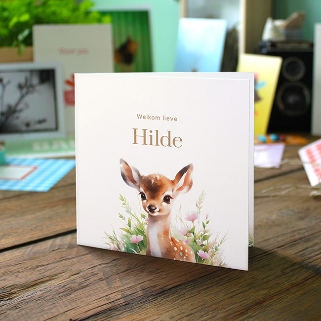 Gevouwen geboortekaartje