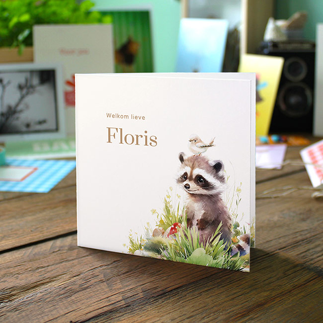 Gevouwen geboortekaartje