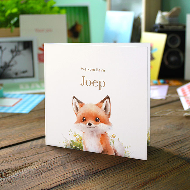 Gevouwen geboortekaartje