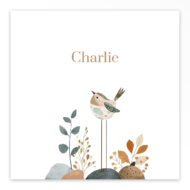 Gevouwen geboortekaart