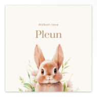 Gevouwen geboortekaartje