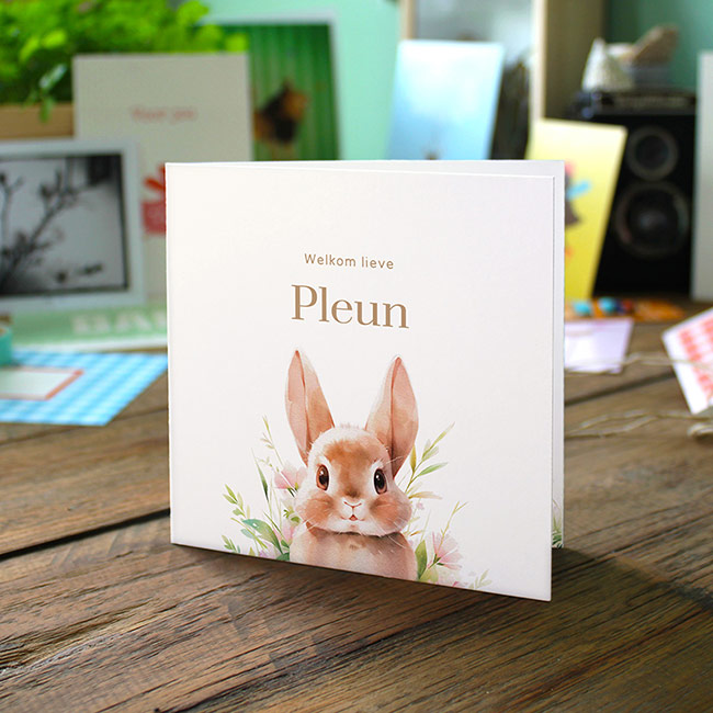 Gevouwen geboortekaartje