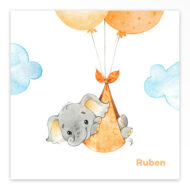 Gevouwen geboortekaartje van Studio Draak