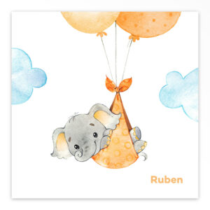 Gevouwen geboortekaartje van Studio Draak