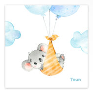 Gevouwen geboortekaartje van Studio Draak