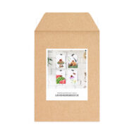 Kaarten van Studio Draak