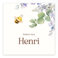 Studio Draak geboortekaartje