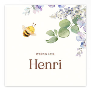 Studio Draak geboortekaartje