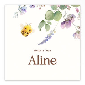 Studio Draak geboortekaartje