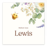 Studio Draak geboortekaartje