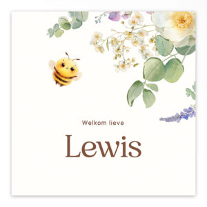 Studio Draak geboortekaartje