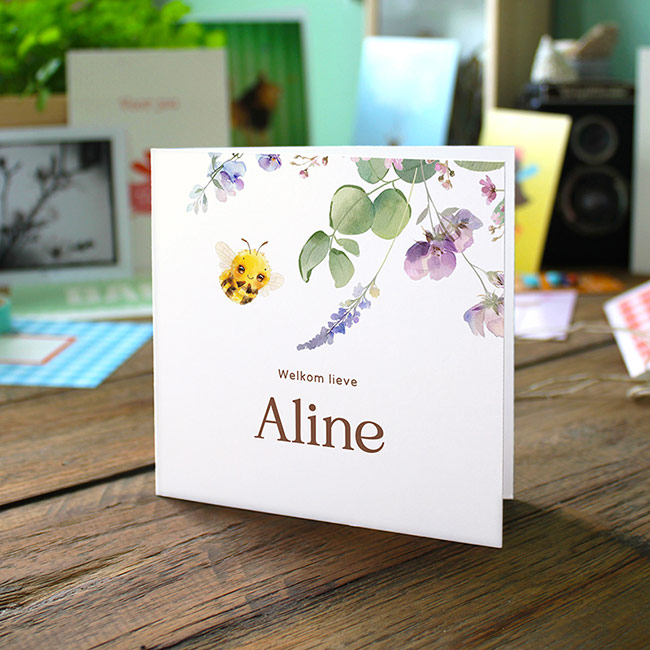 Studio Draak geboortekaartje