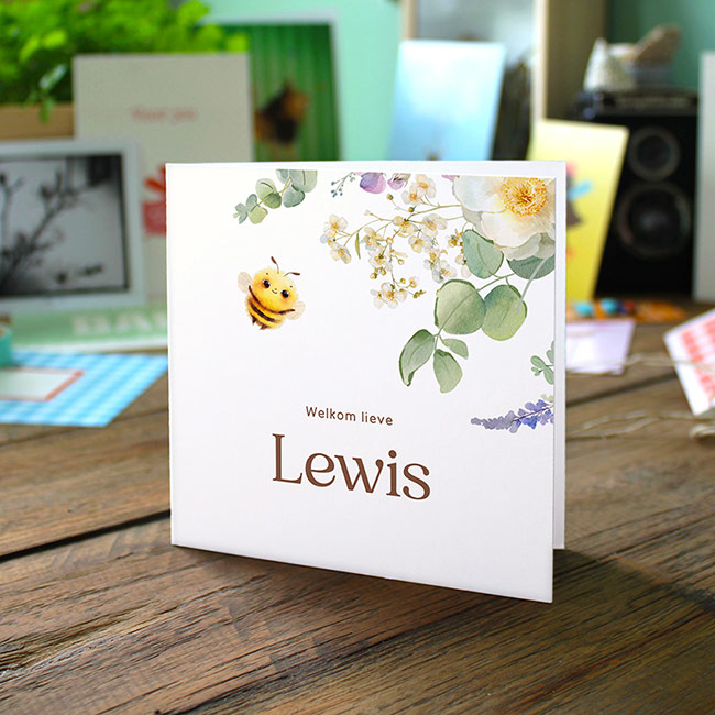 Studio Draak geboortekaartje