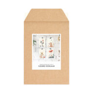 Set met 4 kaarten Studio Draak