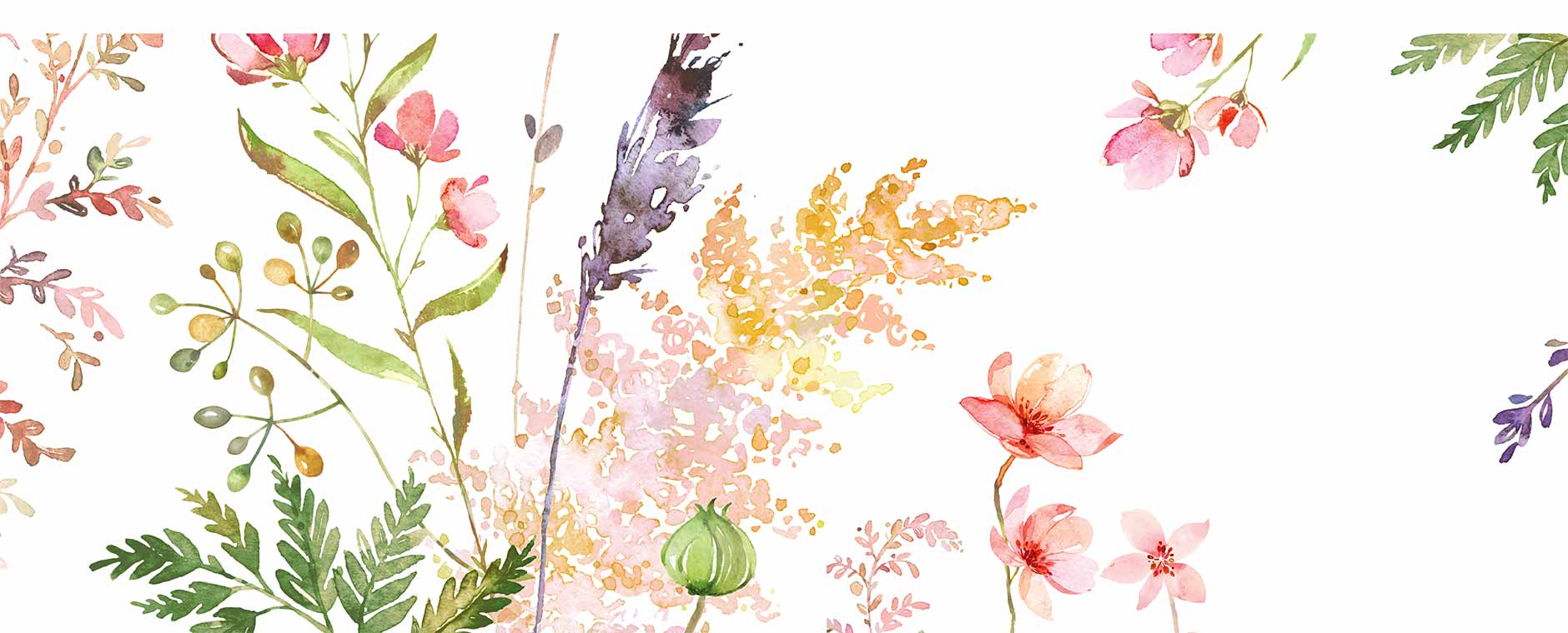 Kaartenset 'Pluktuin' van Studio Draak