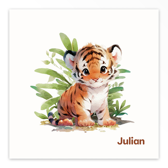 Studio Draak geboortekaartje