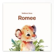 Studio Draak geboortekaartje