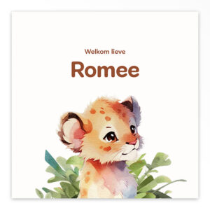 Studio Draak geboortekaartje