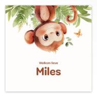 Studio Draak geboortekaartje